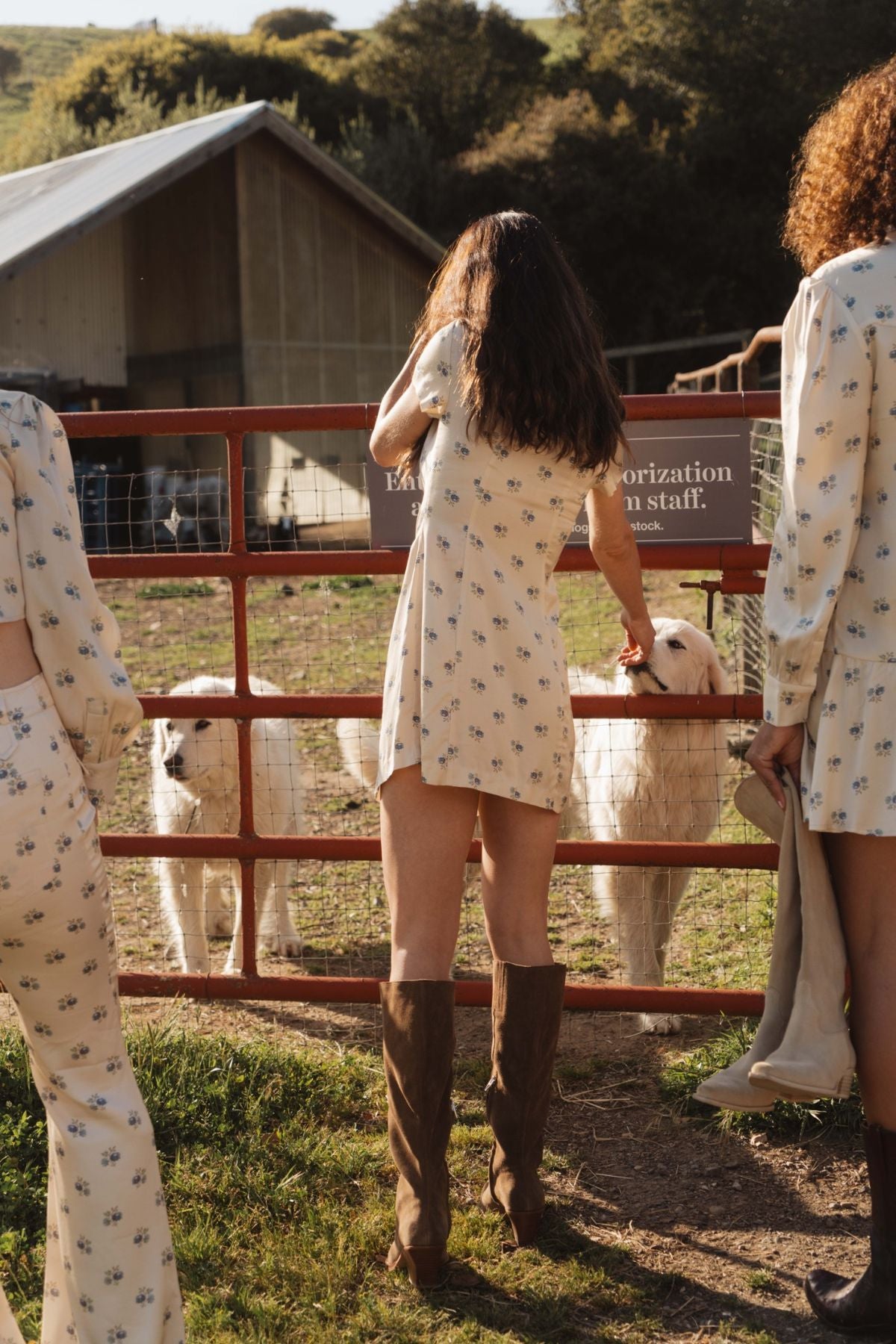 WEST DRESS - KINDRED FLORAL