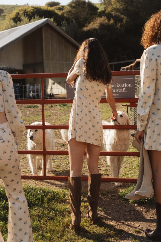 West shirt dress in Kindred Floral, back view at a ranch fence greeting white dogs